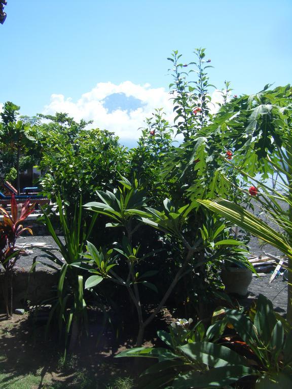 Alur Beach Homestay Amed Extérieur photo